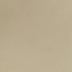 Керамогранит Декор sr Олива 60x120