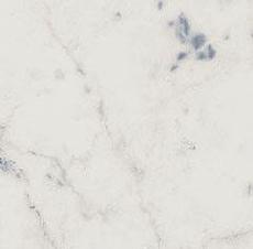 Керамогранит ШАР.ЭКС.КАРРАРА СПИГОЛО ПАТ.А.Е. 1x1