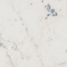 Керамогранит ШАР.ЭКС.КАРРАРА СПИГОЛО ПАТ.А.Е. 1x1