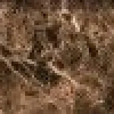 Керамогранит Этерна Браун 7,6x60