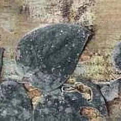 Керамическая плитка Декор Вудсток 1 матовый 6x28.5