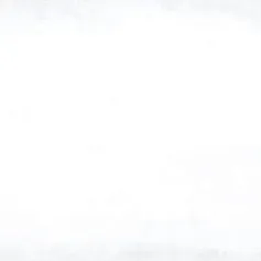 Керамическая плитка Парижанка белый 20x60