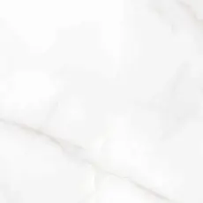 Керамогранит Аркадия Керамика rt6004-a feather onyx matt rustic белый 60x60