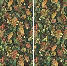 Керамогранит foliage a+b 50x100