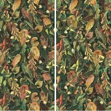 Керамогранит foliage a+b 50x100