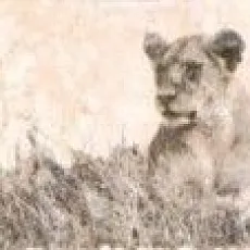 Керамическая плитка селлинг бордюр 03 5,7x20