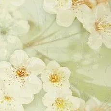 Керамическая плитка сакура зеленый декор 01 25x40