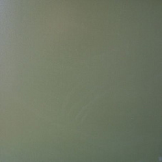 Sal Sapiente МГМ 6617 зеленый для дома для гаража для крыльца для улицы