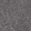 Ступени Подступенок kerama marazzi dd600620r\5 Про Стоун антрацит 10.7x60