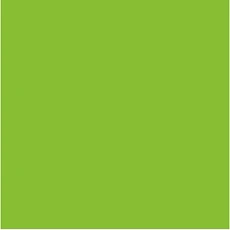 Керамическая плитка Аксима Вегас зеленая матовая 20x20