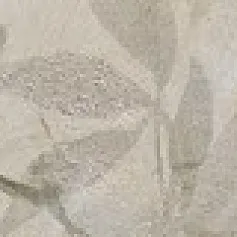 Керамическая плитка Бордюр Магнолия 1 обрезной 7,2x30