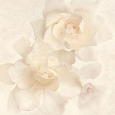 Керамическая плитка dec.alobras pack2 50x50