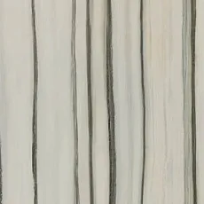 Керамогранит Зебрино rektifiye parlak nano 60x120