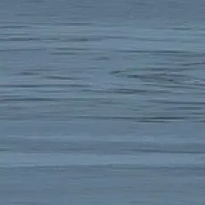 Керамическая плитка Диана acqua 1c 20,1x50,5