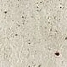 Керамогранит СКАЙЛАЙН СНОУ ПЛИНТУС 7,2x60