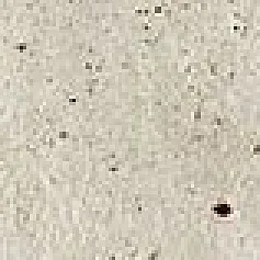 Керамогранит СКАЙЛАЙН СНОУ ПЛИНТУС 7,2x60