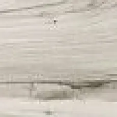 Керамогранит Вуд Ленд grey kor00112 19x119,8