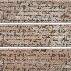 Керамогранит Декор Тезоро 8,5x28,5