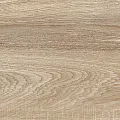 Керамическая плитка Альма Керамика Эйфория/ euphoria twu2550eph40 бежевый 24.9x50