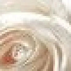 Керамическая плитка камелия бордюр 5,4x50