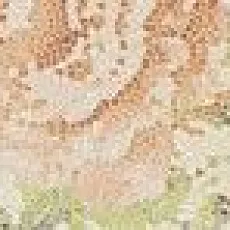 Керамическая плитка кордеса бежевый бордюр 01 7,5x40