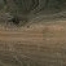 Керамогранит Вуд Блок Браун kor00088 23x179,8