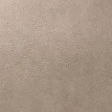 Керамическая плитка dw.greige 80 40x80