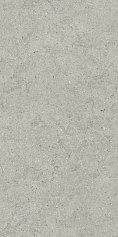 Италон Керамогранит Италон Форум Стоун Сильвер 610010004168 серый серый 