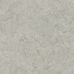 Керамогранит Италон Форум Стоун Сильвер 610010004168 серый 60x120