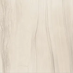 Керамогранит ВАНДЕР МУН 60x60