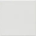 Керамическая плитка Агуста белый 9,8x9,8
