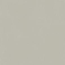 Керамогранит Италон Форум Слим Сильвер 610010004138 серый 80x80