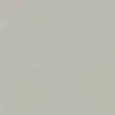 Керамогранит Италон Форум Слим Сильвер 610010004138 серый 80x80