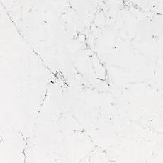 Керамогранит Бьянко pul. 58,6x118,7