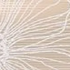 Керамическая плитка Антарес Беж 6,7x50