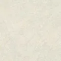Color-00