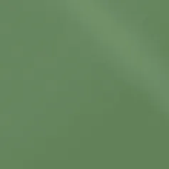 Керамогранит Моноколор pr Зеленый 60x60