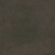 Керамогранит Про Фьюче коричневый обрезной dd639800r 60x60