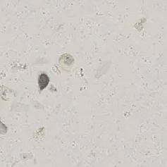 Плинтус Керама Марацци km6060g0931rbt6 Тараскон серый светлый матовый обрезной 9.5x60