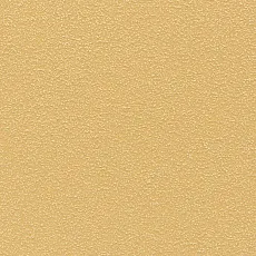 Керамическая плитка mono sloneczne r напольная 20x20