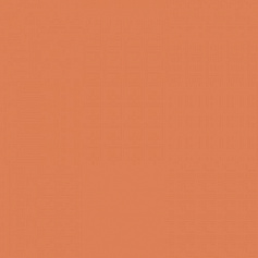 Estima YourColor 25 оранжевый для дома для гаража для крыльца для прихожей для улицы