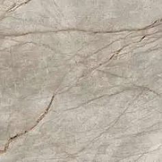 Керамогранит Эмпайр silver root lapp 120x278